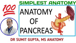 PANCREAS  Anatomy amp relations [upl. by Airahcaz43]