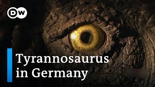 The dinosaur village  DW Documentary [upl. by Gianina965]