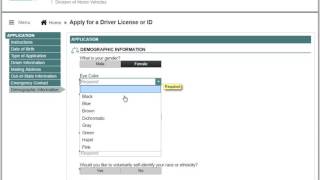 Apply for a Driver License or ID [upl. by Fielding132]