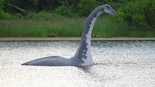 Das Geheimnis von Loch NessDoku Deutsch [upl. by Corly]