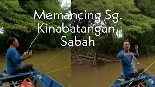 Memancing Sg Kinabatangan Sabah Disambar Ikan Super [upl. by Nosyt177]