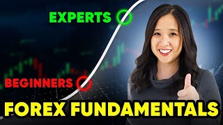 Forex Fundamentals Analysis for Complete Beginners to Level Up [upl. by Ayotyal]