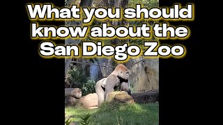 All about the San Diego Zoo [upl. by Nwahsyt]