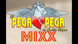 EL PEGA PEGA MIXX [upl. by Modla]