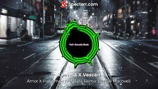 Kamelia X Vescan  Amor X Piesa mea preferata Remix by Vali Macovei [upl. by Weingartner]