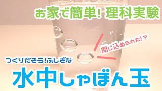 【家で簡単実験】閉じ込められた 水中しゃぼん玉 [upl. by Brenna785]