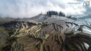 Yuanyang China Rice Terraces on the Shores of a Sea of Clouds [upl. by Acimak]