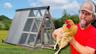 How To Build A Predator Proof Chicken Coop [upl. by Pasadis]