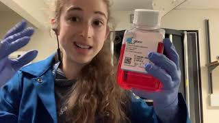 Mammalian cell culture media basics [upl. by Pacien]