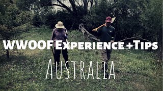 WWOOFING Experience Gone Wrong  Tips To Avoid Bad Volunteer  Australia [upl. by Luhar]