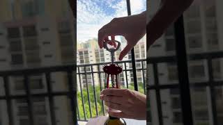 Effortless Wine Opening True Soar Winged Corkscrew Wine Opener [upl. by Donnamarie]