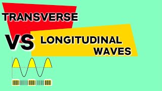 Transverse and Longitudinal waves [upl. by Duaner466]