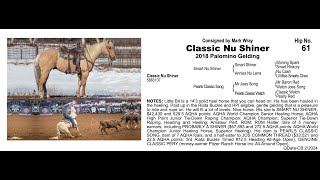 ➖Pitzer Ranch 2024 Spring Sale➖ 🌟Lot 61 CLASSIC NU SHINER🌟 [upl. by Eloken]