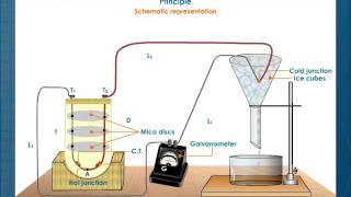 Thermoelectric Thermometer [upl. by Amliw]