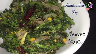 తోటకూర వేపుడు రుచికరంగా  Andhra Style Thotakura Fry In Telugu  Amaranthus Fry  Thotakura Recipes [upl. by Ushijima]