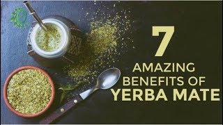 7 Reasons Why You Should Drink Yerba Mate Instead Of Coffee  Organic Facts [upl. by Madonia]