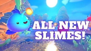 Slime Rancher 2  ALL NEW SLIMES [upl. by Aurlie388]