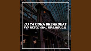 DJ YA ODNA BREAKBEAT [upl. by Nichani]