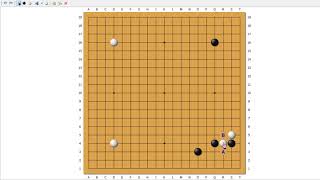 【圍棋星位定石】二五侵分 [upl. by Odnalra773]