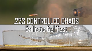 223 CONTROLLED CHAOS Ballistic Gel Test  Ballistic HighSpeed [upl. by Vesta]