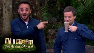 Ant and Decs Favourite Drinking Bushtucker Trial Moments  Im A Celebrity Get Me Out Of Here [upl. by Riki949]