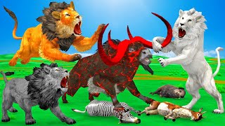 मेहनत रंग लाई  तीन शेर और ज़ोंबी भैंस जाल Hardwork paidoff Three Lions Zombie Buffalo Trap story [upl. by Yrtua]