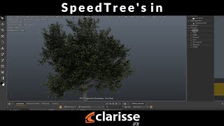 Using SpeedTree Assets in Clarisse iFX [upl. by Mahon916]