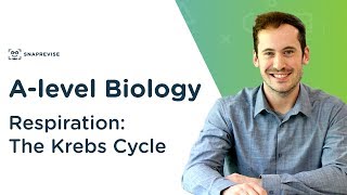 AQA ALevel Biology Respiration  Learn the Entire Topic in One Video Aerobic amp Anaerobic [upl. by Bible]