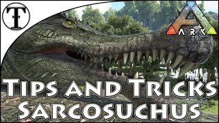 Fast Sarcosuchus Taming Guide  Ark  Survival Evolved Tips and Tricks [upl. by Eelta]