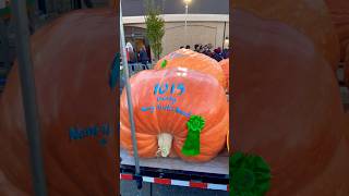 Lots Of Big Pumpkins At Circlevilles Pumpkin Show autumn fall festival pumpkin ohio pumpkins [upl. by Elwyn]