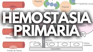 HEMOSTASIA PRIMÁRIA HEMATOLOGIA [upl. by Elatan286]