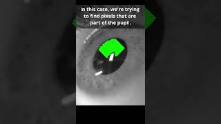 How A Search Algorithm Finds Your Pupil [upl. by Htebilil]