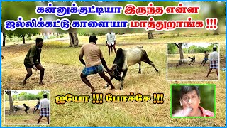 Jallikattu Training  ஜல்லிக்கட்டு காளையை இப்படிதான் பழக்குவாங்க  யாரும் அதிகம் பார்த்திராத வீடியோ [upl. by Eirelav]