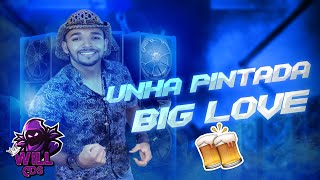 Unha Pintada  Big Love  Relíquia Toma Cachaça🍻🍺 WillCds [upl. by Ennairej]