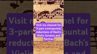 Harmonic reductions of Bachs Violin Sonatas and Partitas bach analysis musictheory soloviolin [upl. by Oiceladni519]