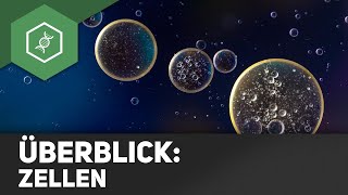 Zellen  Überblick [upl. by Yerffej]