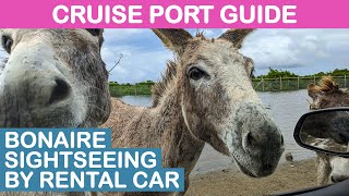 Bonaire Kralendijk Cruise Port Guide Sightseeing by Rental Car [upl. by Odraude]