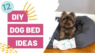 Sew an amazing dog bed FULL TUTORIAL [upl. by Axela]