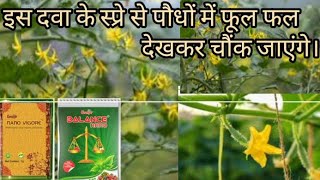 NANO VIGORE  BALANCE NANO से फसलों से अधिक फूल फल मिलें । Nano technology [upl. by Dloniger]