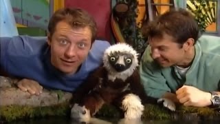 Zoboomafoo Cap 64 quotUn Mundo de Patasquot [upl. by Meador506]