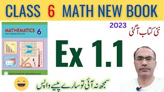 6Th Class Math Exercise 11  6Th Class Math New Book 2023  SNC 202324 [upl. by Ecreip]