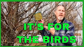 How to Make Suet to Attract Birds [upl. by Ojimmas617]