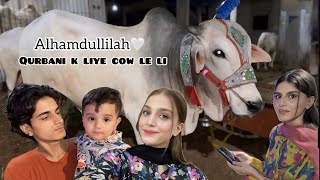 Alhamdullilah Qurbani Ke Liye Cow Le Li🐮🤍  Zolish vlog [upl. by Kirsteni897]