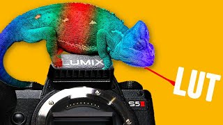 Panasonic Lumix S5IIs Best Secret Feature  Real Time LUT [upl. by Bordy]