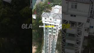 Dare to Walk on Tianmen Mountains Glass Skywalk 😱 [upl. by Halet]