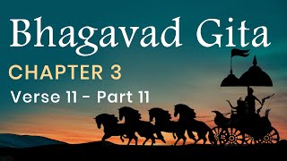 Bhagavad Gita Chapter 3 Verse 11  PART 11 in English by Yogishri [upl. by Mersey]