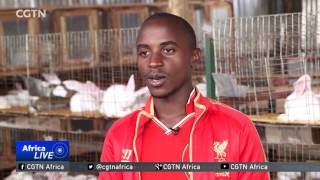 Ugandan farmers cash in on rabbit farming [upl. by Notsahc317]