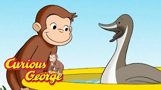 Shrinking Duck Pond 🐵 Curious George 🐵Kids Cartoon 🐵 Kids Movies 🐵Videos for Kids [upl. by Greggs257]