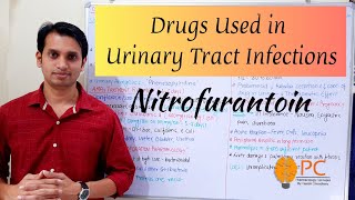 Drugs Used in Urinary Tract infections Part 1 Nitrofurantoin Pharmacology  Urinary Antiseptics [upl. by Ettigirb]