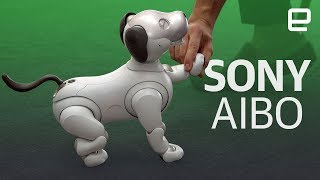 Sonys new Aibo robot first look [upl. by Hallee]